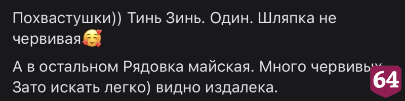 Жительница Энгельса похвасталась гигантским подосиновиком